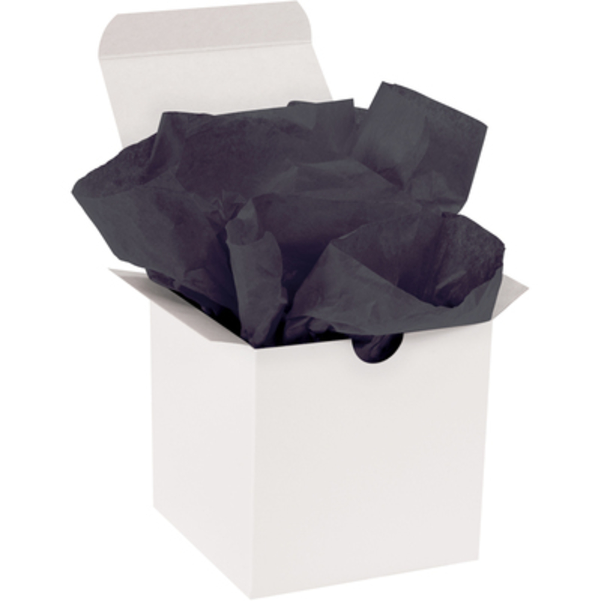 20 x 30in. Black Gift Grade Tissue Paper 480/CS, Model# T2030D